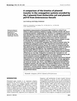 A comparison of the kinetics of plasmid transfer in the conjugation