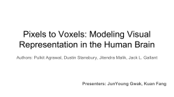 Pixels to Voxels: Modeling Visual Representation in the Human Brain