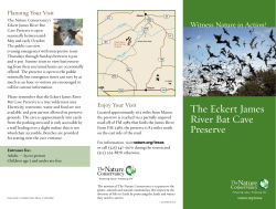 The Eckert James River Bat Cave Preserve