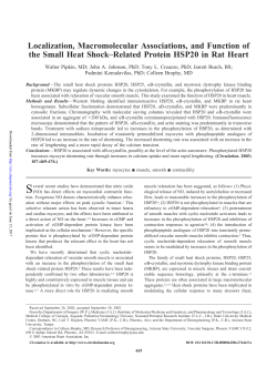 Localization, Macromolecular Associations, and Function of the