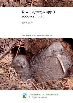 Kiwi (Apteryx spp.) recovery plan: 2008-2018