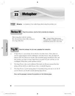 23 Metaphor