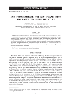 DNA TOPOISOMERASE: THE KEY ENZYME THAT REGULATES