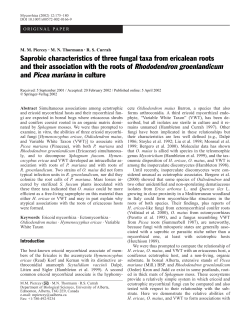 Saprobic characteristics of three fungal taxa from ericalean roots