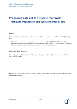Pregnancy rates of marine mammals