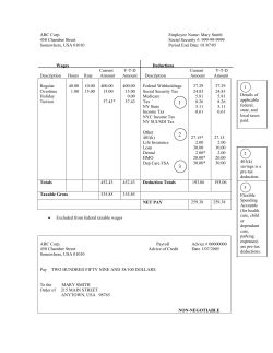 Pay Stub Example