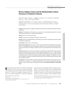Brown Adipose Tissue and Its Relationship to Bone