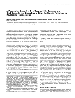 A Pacemaker Current in Dye-Coupled Hilar
