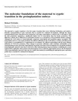 The molecular foundations of the maternal to zygotic transition in the
