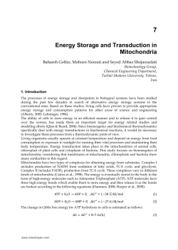 Energy Storage and Transduction in Mitochondria
