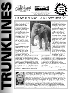 sissy - The Elephant Sanctuary in Tennessee