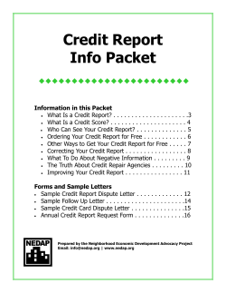 Credit Report Packet - New Economy Project
