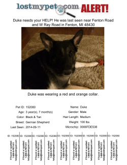Duke was wearing a red and orange collar. Duke