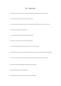 B2 &ndash; Cells Quiz - Science Skool!