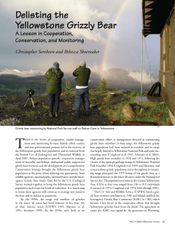 Delisting the Yellowstone Grizzly Bear