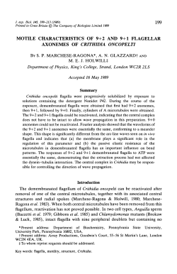 MOTILE CHARACTERISTICS OF 9+2 AND 9+1 FLAGELLAR
