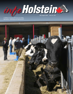 info Holstein - Holstein Canada