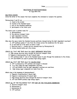 REACTIONS OF PHOTOSYNTHESIS 8-3