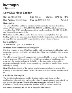 Low DNA Mass Ladder - Thermo Fisher Scientific