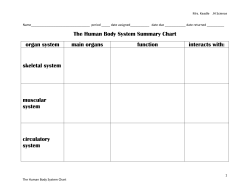 The Human Body System Summary Chart organ system main