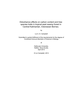 LAD Campbell 2013 - Bornean toprical peat swamp forests