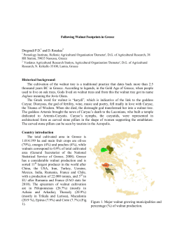 Following the walnut footprints in Greece