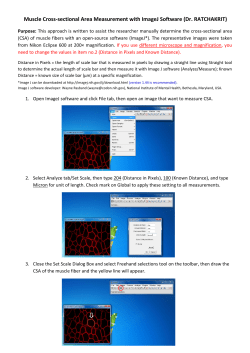 Muscle Cross-sectional Area Measurement with ImageJ Software