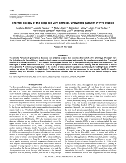 Thermal biology of the deep-sea vent annelid Paralvinella grasslei