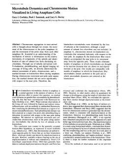 Microtubule Dynamics and Chromosome Motion Visualized in Living
