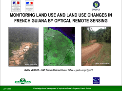 Photo interpretation - REDD+ for the Guiana Shield