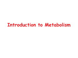 Introduction to Metabolism