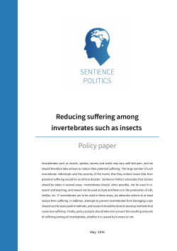 Reducing su  ering among invertebrates such as insects Policy paper