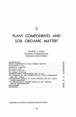 Plant components and soil organic matter