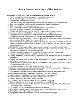 General Questions on the Course of Plant Anatomy