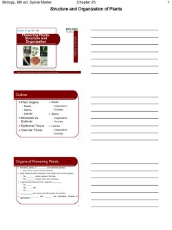 Structure and Organization of Plants