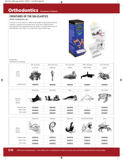 CREATURES OF THE SEA ELASTICS