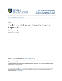 The Effect of Caffeine and Ethanol on Flatworm Regeneration.