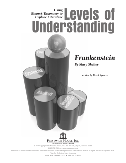 Frankenstein - Levels of Understanding Sample