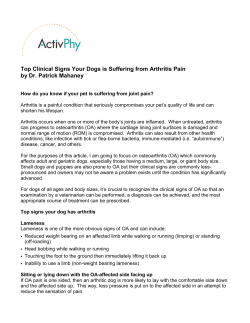 Top Clinical Signs Your Dogs is Suffering from Arthritis