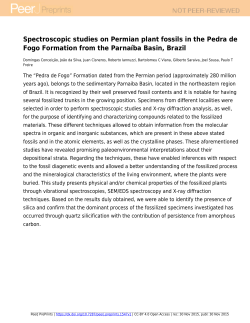 Spectroscopic studies on Permian plant fossils in the Pedra