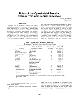 Roles of the Cytoskeletal Proteins Desmin, Titin and Nebulin in Muscle