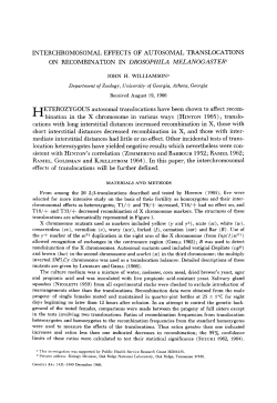 INTERCHROMOSOMAL EFFECTS OF AUTOSOMAL