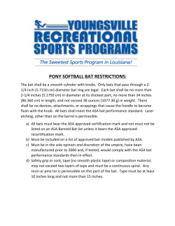 pony softball bat restrictions