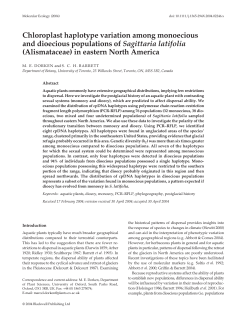 Chloroplast haplotype variation among monoecious and dioecious
