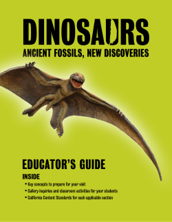 English - San Diego Natural History Museum