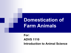 Domestication of Farm Animals