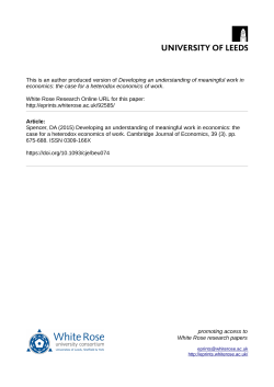 Developing an understanding of meaningful work in economics: the