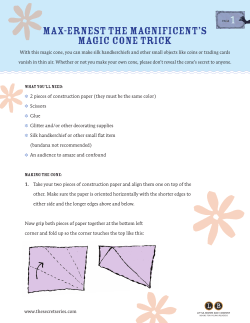Max-Ernest the Magnificent`s Magic Cone Trick