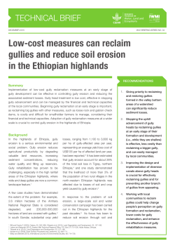 Low-cost measures can reclaim gullies and reduce soil erosion in