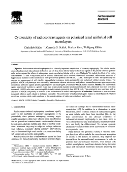 Cytotoxicity of radiocontrast agents on polarized renal epithelial cell